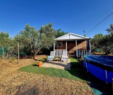 Un Chalet Dans Les Oliviers 3 Nuits Mini Nîmes Dış mekan fotoğraf